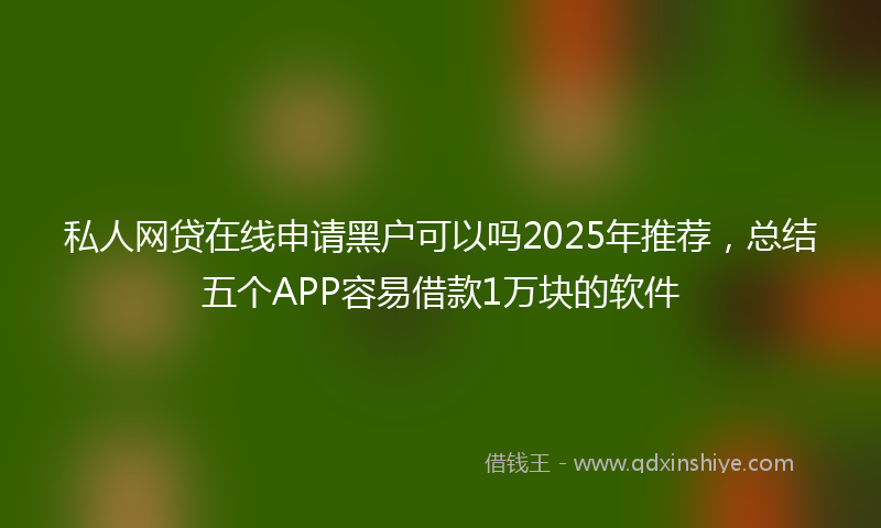 私人网贷在线申请黑户可以吗2025年推荐，总结五个APP容易借款1万块的软件