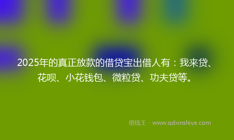 2025年的真正放款的借贷宝出借人有:我来贷、花呗、小花钱包、微粒贷、功夫贷等。