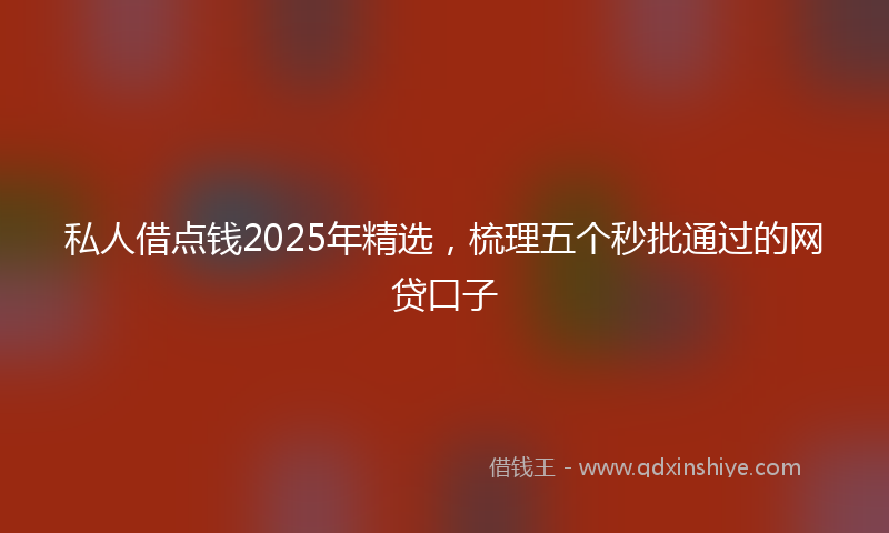 私人借点钱2025年精选，梳理五个秒批通过的网贷口子