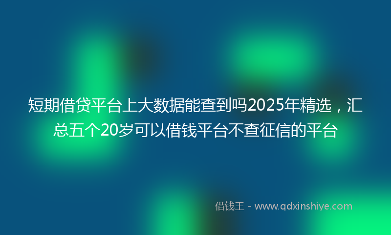 短期借贷平台上大数据能查到吗2025年精选，汇总五个20岁可以借钱平台不查征信的平台