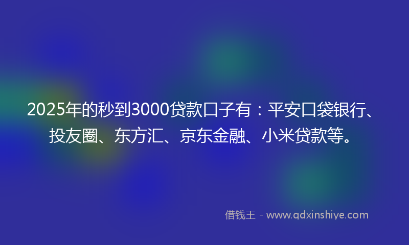2025年的秒到3000贷款口子有：平安口袋银行、投友圈、东方汇、京东金融、小米贷款等。