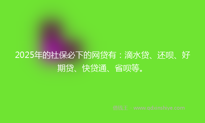 2025年的社保必下的网贷有：滴水贷、还呗、好期贷、快贷通、省呗等。