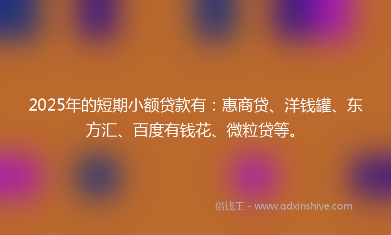 2025年的短期小额贷款有：惠商贷、洋钱罐、东方汇、百度有钱花、微粒贷等。