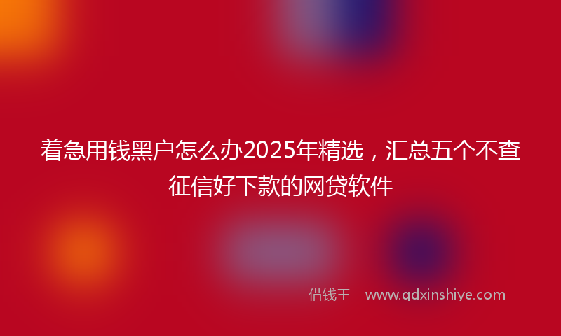 着急用钱黑户怎么办2025年精选，汇总五个不查征信好下款的网贷软件