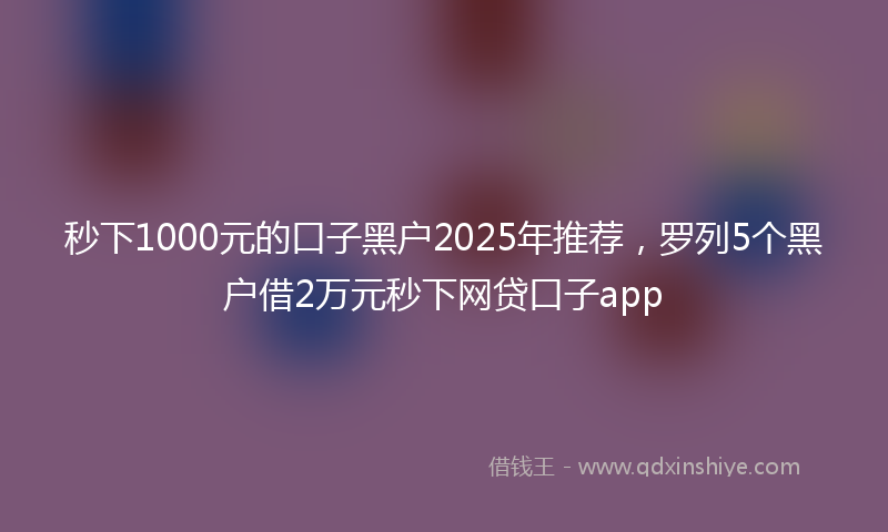 秒下1000元的口子黑户2025年推荐，罗列5个黑户借2万元秒下网贷口子app