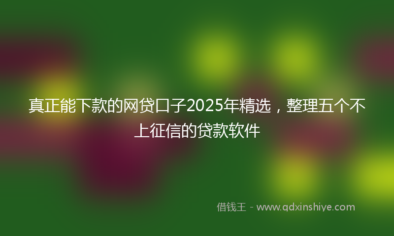 真正能下款的网贷口子2025年精选，整理五个不上征信的贷款软件