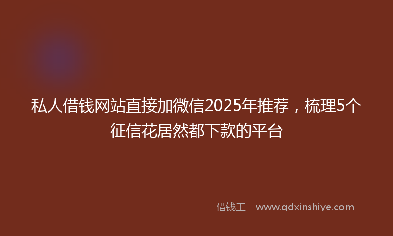 私人借钱网站直接加微信2025年推荐，梳理5个征信花居然都下款的平台