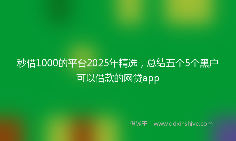 秒借1000的平台2025年精选，总结五个5个黑户可以借款的网贷app