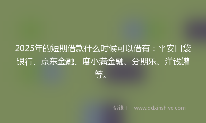 2025年的短期借款什么时候可以借有：平安口袋银行、京东金融、度小满金融、分期乐、洋钱罐等。