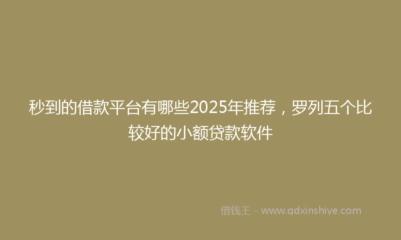秒到的借款平台有哪些2025年推荐，罗列五个比较好的小额贷款软件