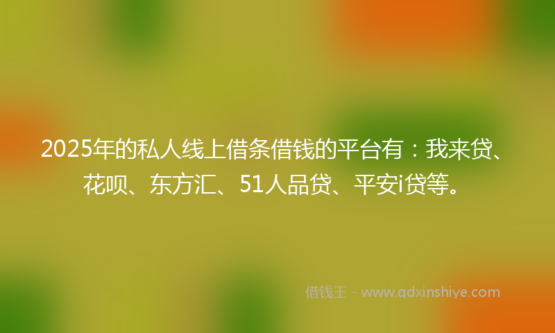 2025年的私人线上借条借钱的平台有：我来贷、花呗、东方汇、51人品贷、平安i贷等。