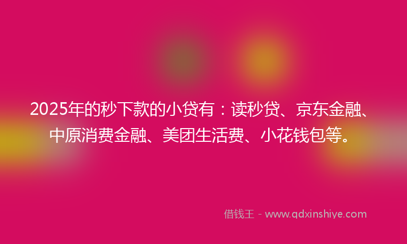 2025年的秒下款的小贷有：读秒贷、京东金融、中原消费金融、美团生活费、小花钱包等。