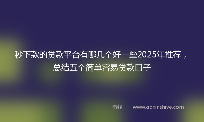 秒下款的贷款平台有哪几个好一些2025年推荐，总结五个简单容易贷款口子