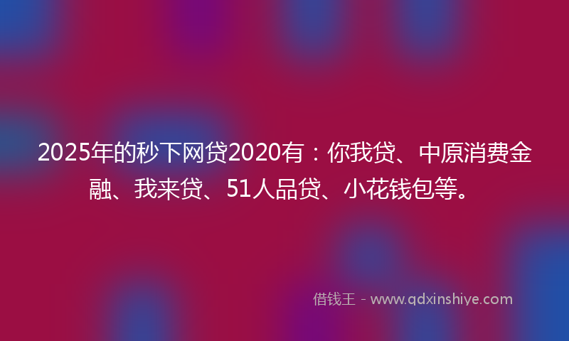 2025年的秒下网贷2020有：你我贷、中原消费金融、我来贷、51人品贷、小花钱包等。