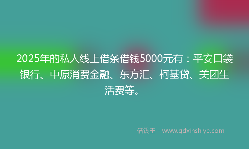 2025年的私人线上借条借钱5000元有:平安口袋银行、中原消费金融、东方汇、柯基贷、美团生活费等。