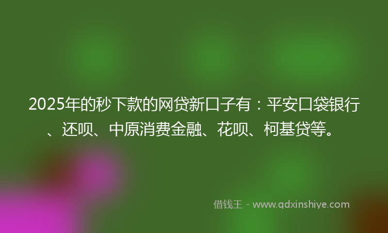 2025年的秒下款的网贷新口子有：平安口袋银行、还呗、中原消费金融、花呗、柯基贷等。