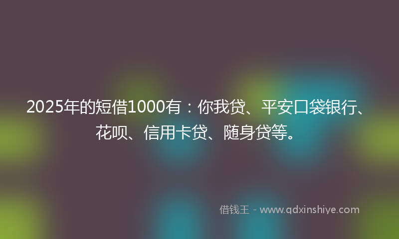 2025年的短借1000有：你我贷、平安口袋银行、花呗、信用卡贷、随身贷等。
