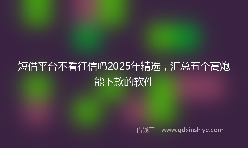 短借平台不看征信吗2025年精选，汇总五个高炮能下款的软件