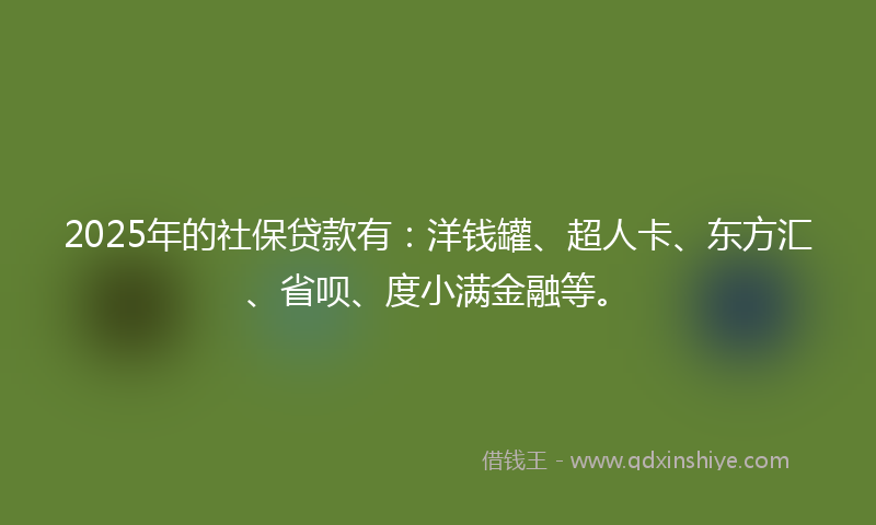 2025年的社保贷款有：洋钱罐、超人卡、东方汇、省呗、度小满金融等。