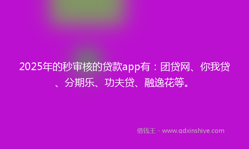 2025年的秒审核的贷款app有：团贷网、你我贷、分期乐、功夫贷、融逸花等。