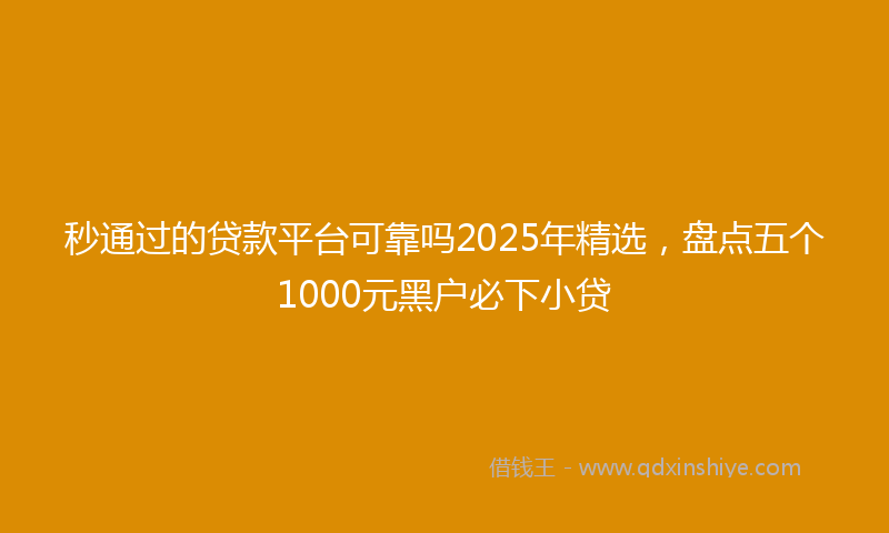 秒通过的贷款平台可靠吗2025年精选，盘点五个1000元黑户必下小贷