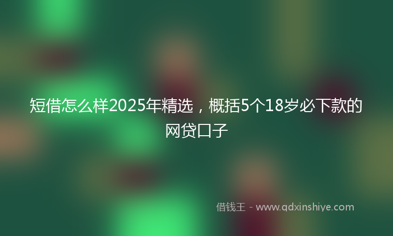 短借怎么样2025年精选，概括5个18岁必下款的网贷口子