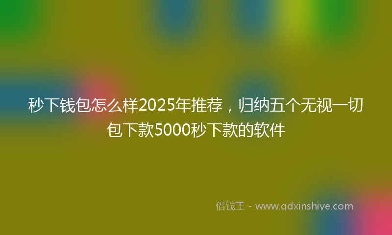 秒下钱包怎么样2025年推荐，归纳五个无视一切包下款5000秒下款的软件
