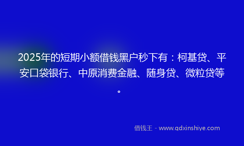 2025年的短期小额借钱黑户秒下有：柯基贷、平安口袋银行、中原消费金融、随身贷、微粒贷等。