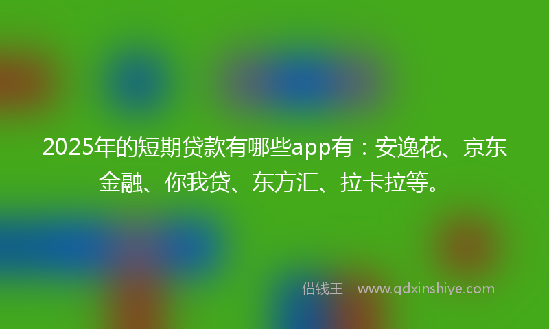 2025年的短期贷款有哪些app有：安逸花、京东金融、你我贷、东方汇、拉卡拉等。