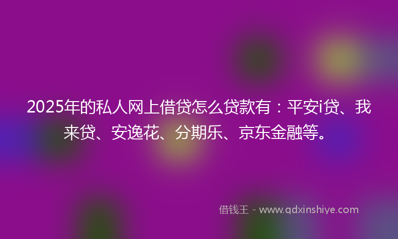 2025年的私人网上借贷怎么贷款有：平安i贷、我来贷、安逸花、分期乐、京东金融等。