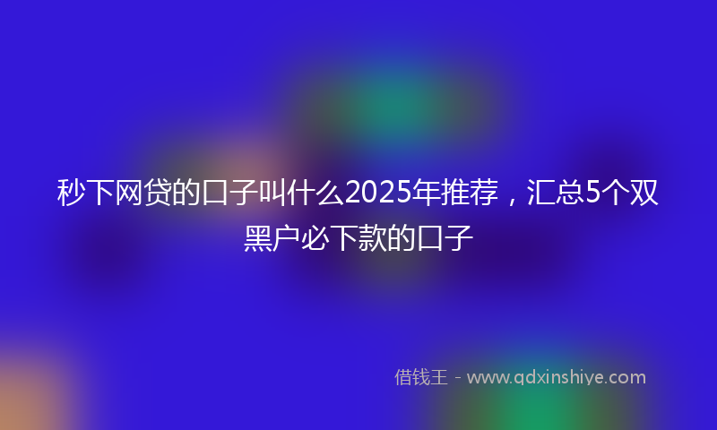 秒下网贷的口子叫什么2025年推荐，汇总5个双黑户必下款的口子
