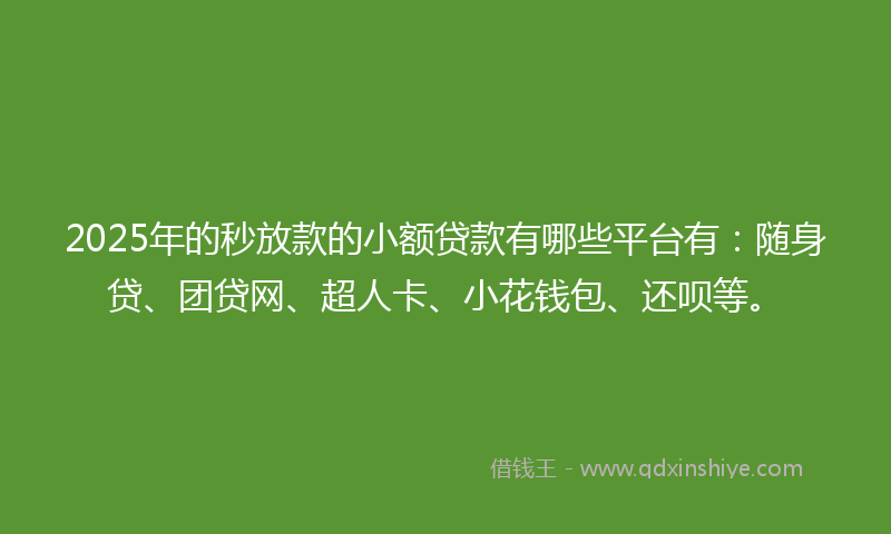 2025年的秒放款的小额贷款有哪些平台有：随身贷、团贷网、超人卡、小花钱包、还呗等。