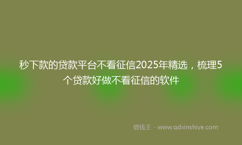 秒下款的贷款平台不看征信2025年精选，梳理5个贷款好做不看征信的软件