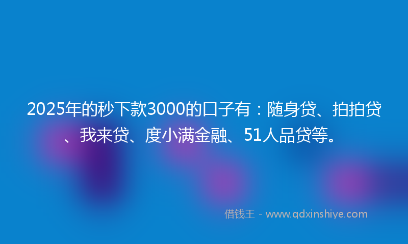 2025年的秒下款3000的口子有：随身贷、拍拍贷、我来贷、度小满金融、51人品贷等。