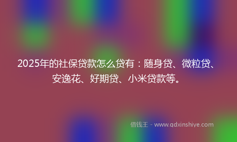 2025年的社保贷款怎么贷有：随身贷、微粒贷、安逸花、好期贷、小米贷款等。