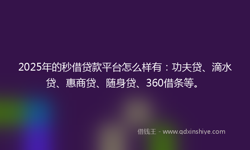 2025年的秒借贷款平台怎么样有：功夫贷、滴水贷、惠商贷、随身贷、360借条等。