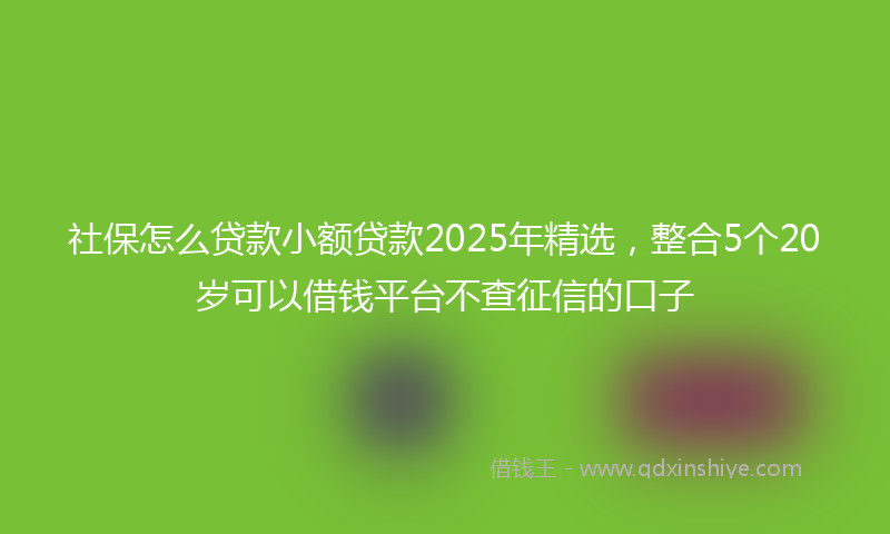 社保怎么贷款小额贷款2025年精选，整合5个20岁可以借钱平台不查征信的口子