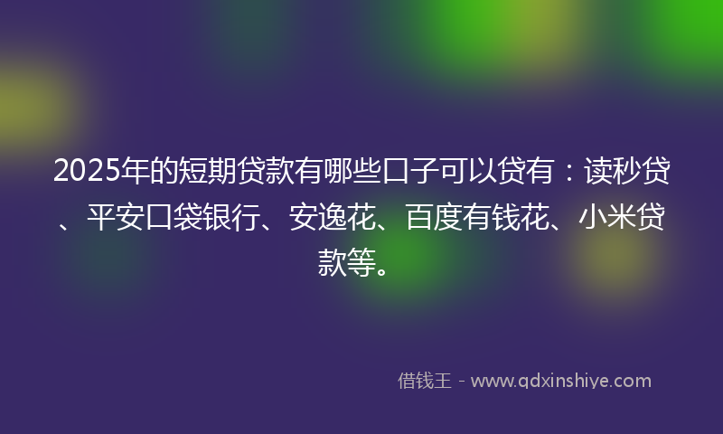 2025年的短期贷款有哪些口子可以贷有：读秒贷、平安口袋银行、安逸花、百度有钱花、小米贷款等。