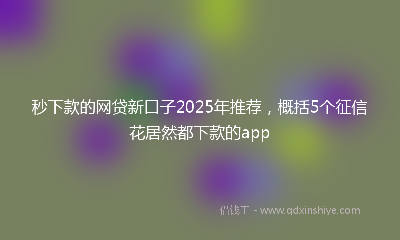 秒下款的网贷新口子2025年推荐，概括5个征信花居然都下款的app