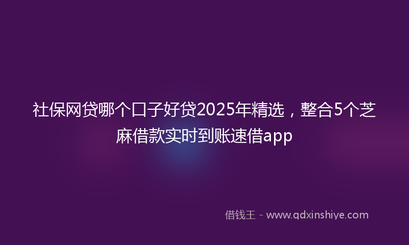 社保网贷哪个口子好贷2025年精选，整合5个芝麻借款实时到账速借app