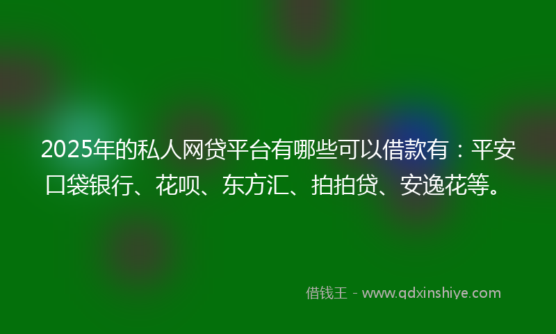 2025年的私人网贷平台有哪些可以借款有：平安口袋银行、花呗、东方汇、拍拍贷、安逸花等。