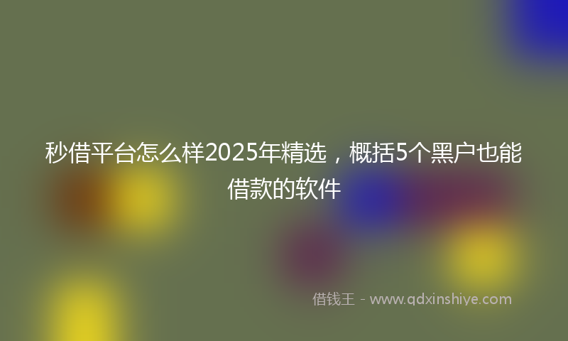 秒借平台怎么样2025年精选，概括5个黑户也能借款的软件