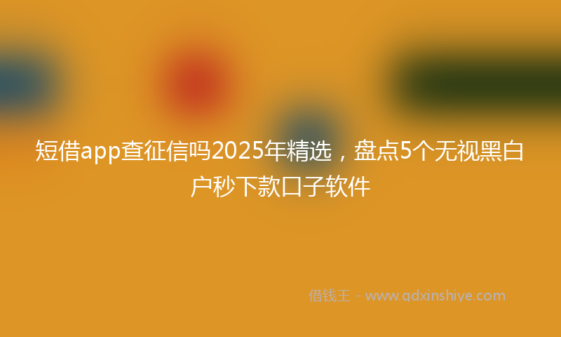 短借app查征信吗2025年精选，盘点5个无视黑白户秒下款口子软件