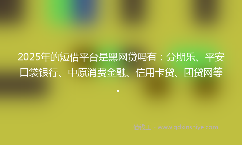 2025年的短借平台是黑网贷吗有：分期乐、平安口袋银行、中原消费金融、信用卡贷、团贷网等。