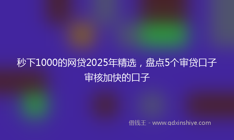 秒下1000的网贷2025年精选，盘点5个审贷口子审核加快的口子