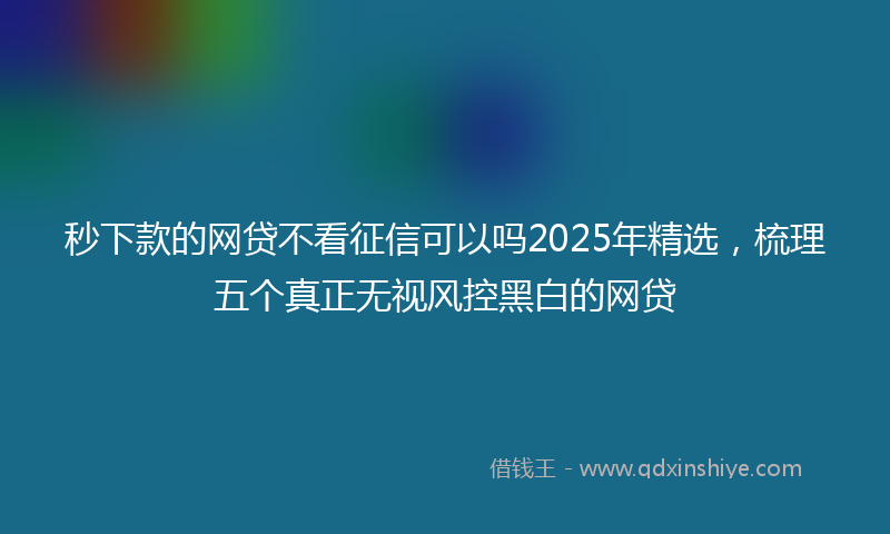 秒下款的网贷不看征信可以吗2025年精选，梳理五个真正无视风控黑白的网贷