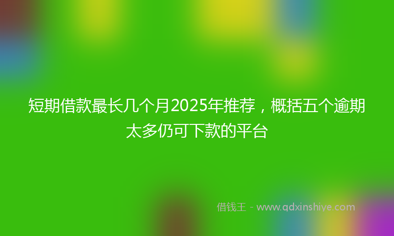 短期借款最长几个月2025年推荐，概括五个逾期太多仍可下款的平台