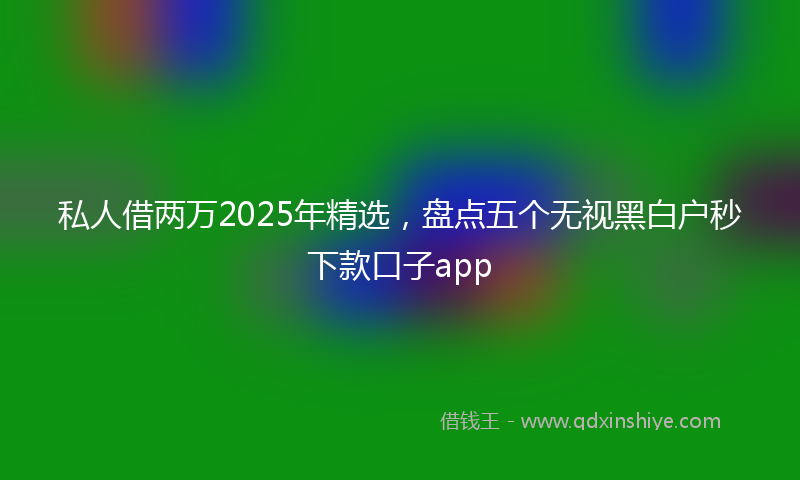 私人借两万2025年精选，盘点五个无视黑白户秒下款口子app