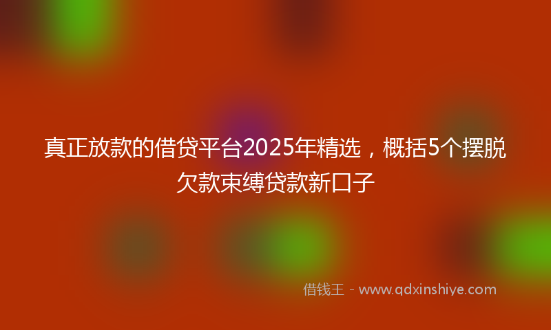 真正放款的借贷平台2025年精选，概括5个摆脱欠款束缚贷款新口子