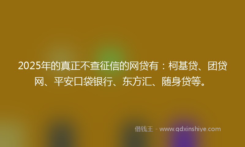 2025年的真正不查征信的网贷有:柯基贷、团贷网、平安口袋银行、东方汇、随身贷等。